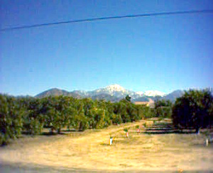 Outside MAF, Feb 2004 (2)